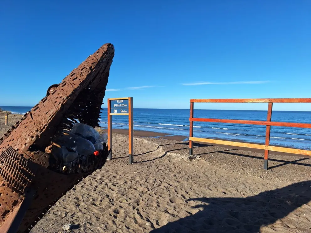El tiburón que fue una famosa escultura de El Cóndor pasó a convertirse en un cesto de basura
