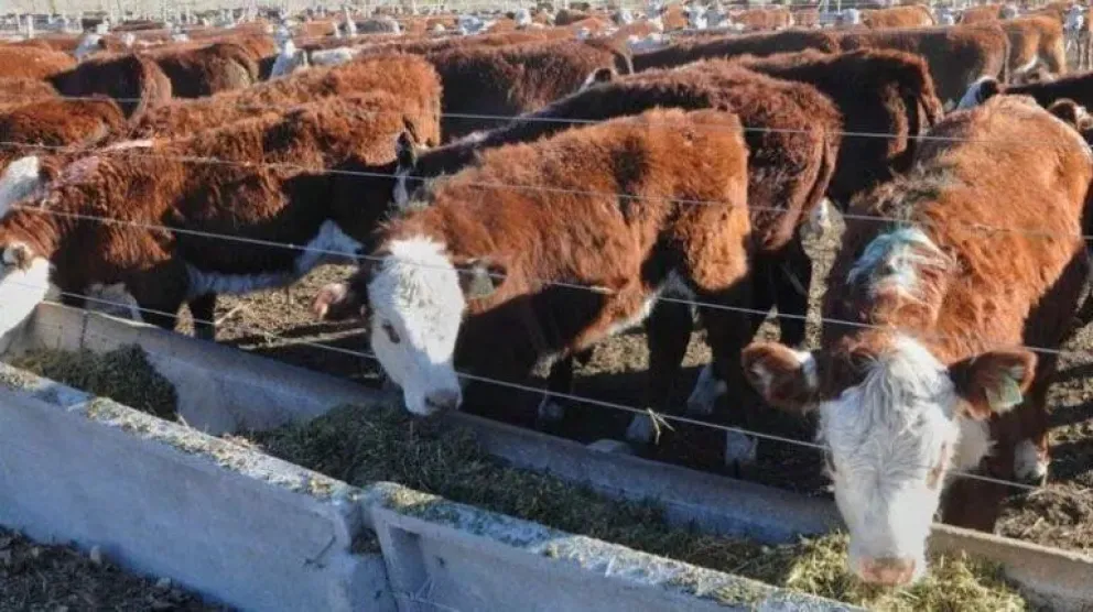 Rechazo categórico de productores patagónicos a cualquier cambio en la barrera sanitaria