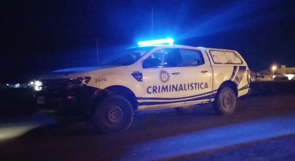 Consejos de Seguridad Ciudadana para tratar de combatir al delito