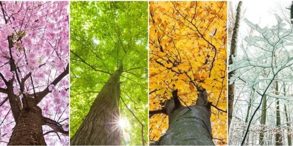 Personalidad y Estaciones: Lo que tu mes de nacimiento dice de vos