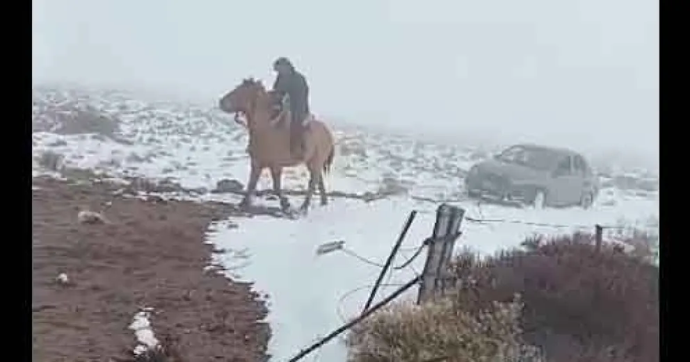 Solo pasa en la Patagonia: un rionegrino llevó un auto a tiro con su caballo
