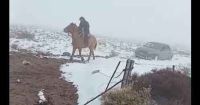 Solo pasa en la Patagonia: un rionegrino llevó un auto a tiro con su caballo