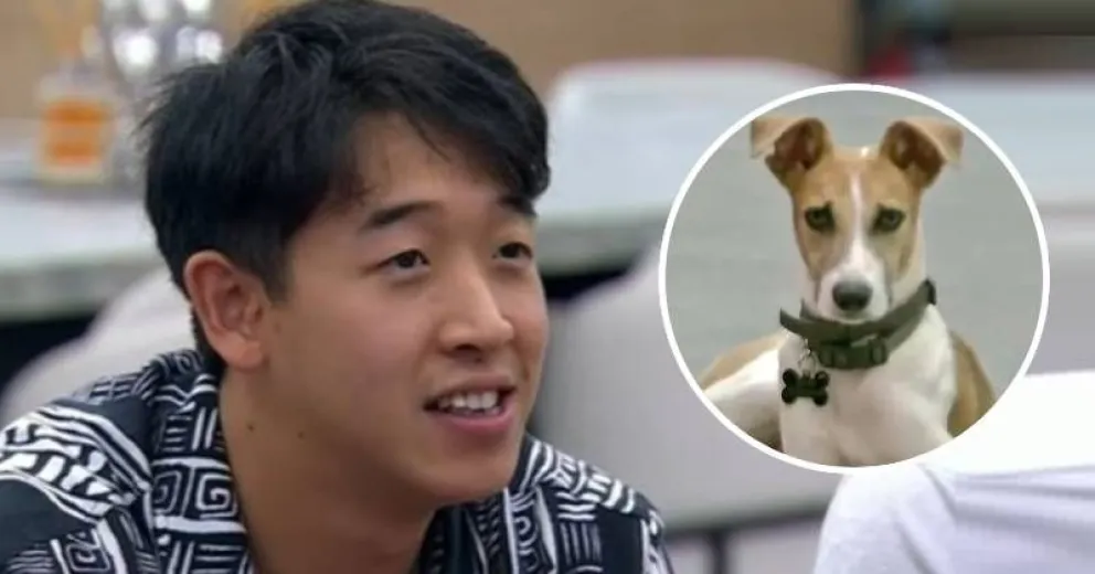 Incertidumbre por el perrito Arturo de Gran Hermano: qué le sucederá ahora, alejado de Martín Ku