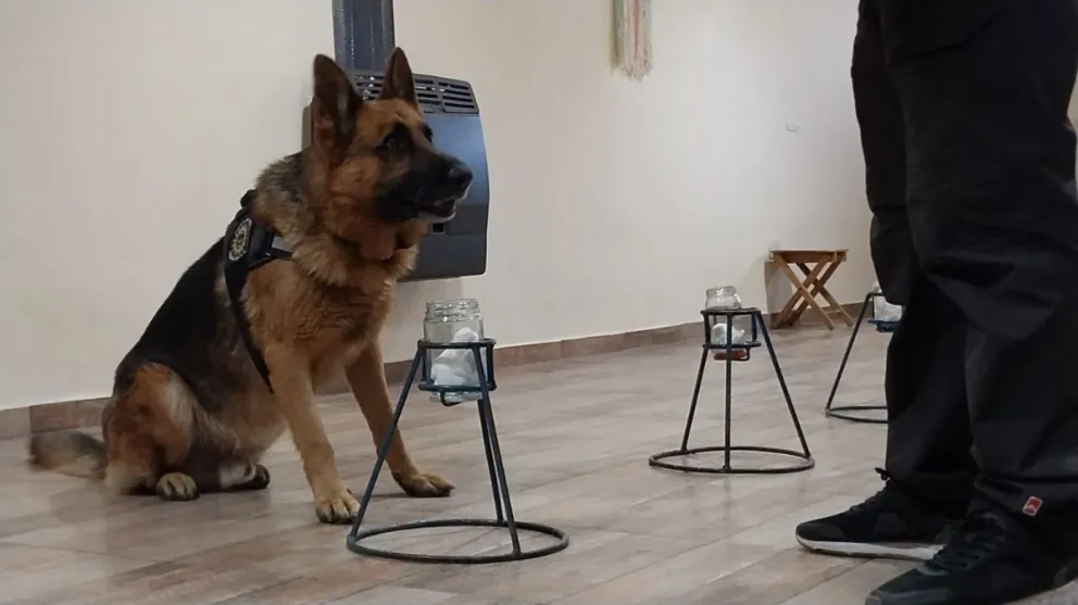 "Esta técnica aporta velocidad para la investigación", señaló Cerutti.