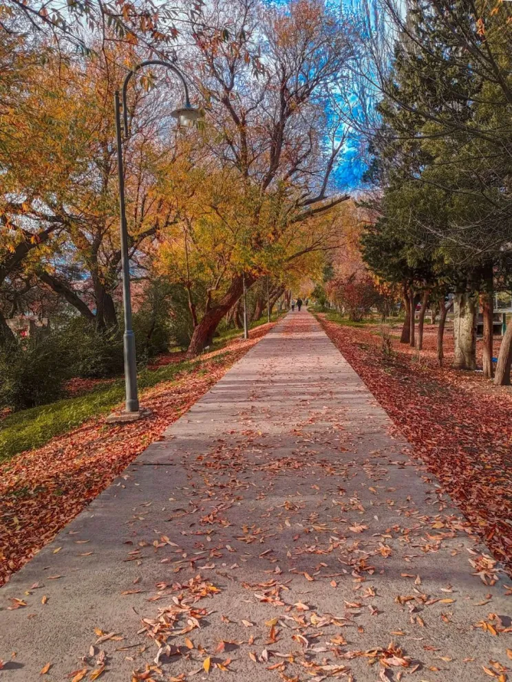 La capital rionegrina vivirá una breve tregua de calor.