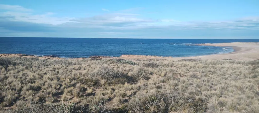 Río Negro acompaña labor de conservación del Parque Nacional Islote Lobos
