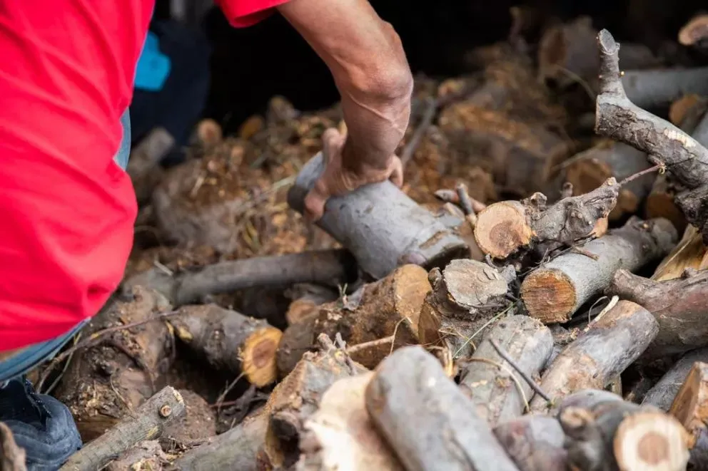 Aumentó considerablemente la demanda social en Patagones
