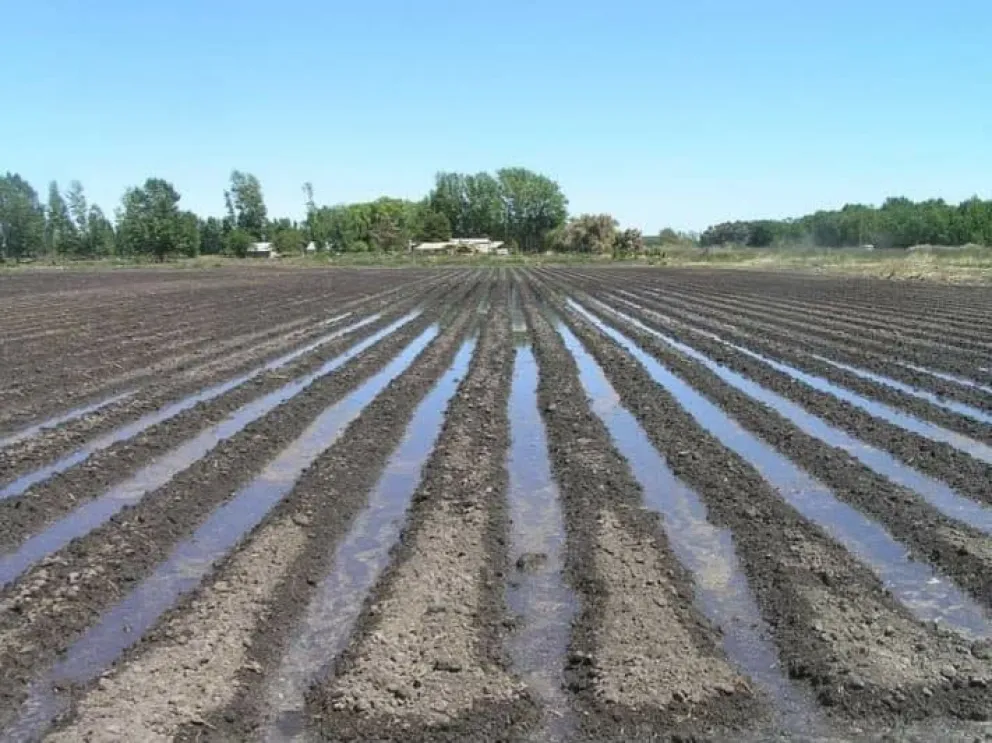 Según anunciaron, se extenderá hasta agosto (Foto: archivo)