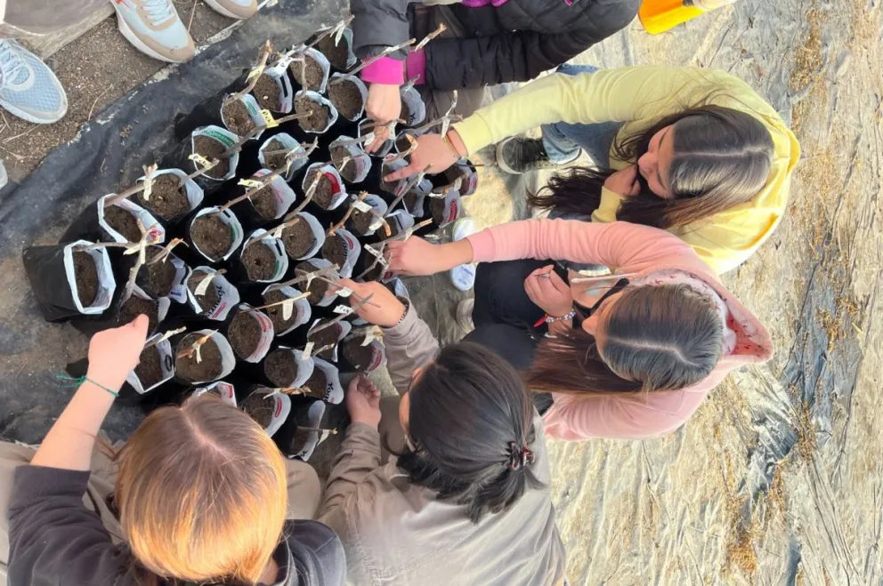 Estudiantes contribuyen para transformar paisajes urbanos y rurales con plantas nativas
