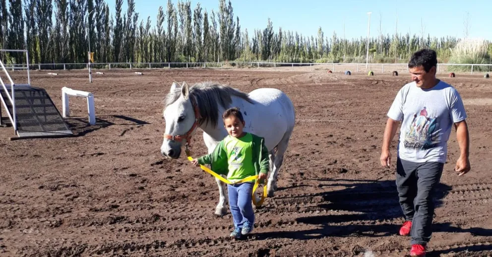 El asesinato de un caballo rionegrino conmociona al país