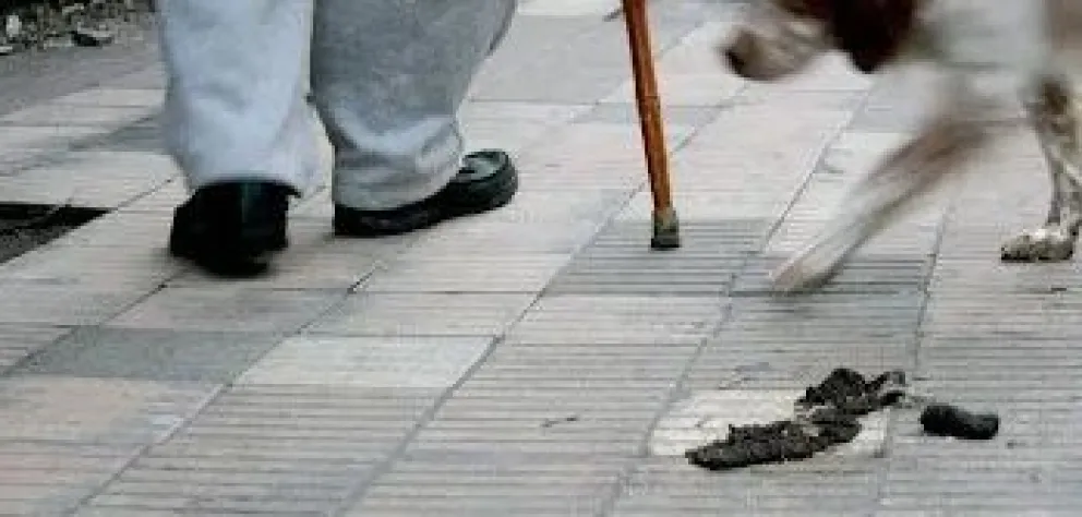 La Cámara de Comercio de Patagones pegó el grito en el cielo por la cantidad de heces de perros en las veredas