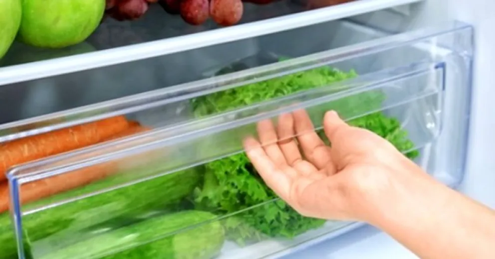 Truco para verduras frescas: Consejo casero para prolongar vida útil en la heladera