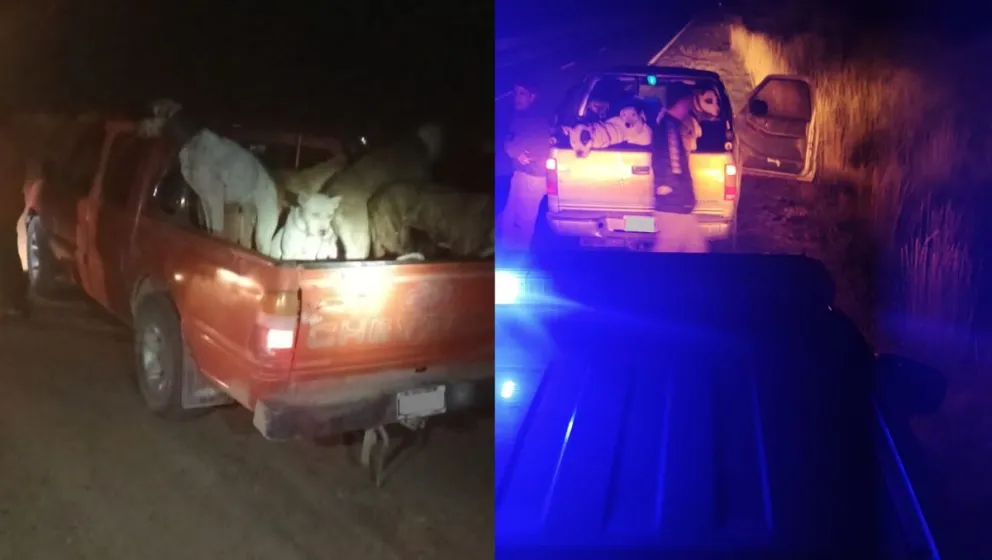 Operativo rural: atrapan a personas sin permiso de caza