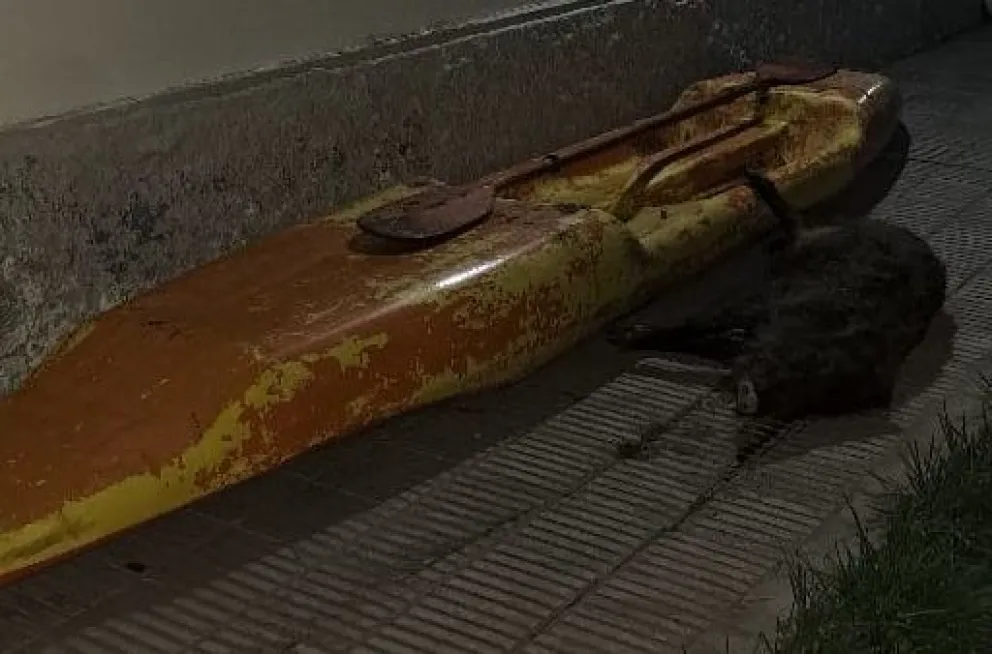 Cruzaron en una vetusta canoa a una isla para cazar jabalíes y los apresó la Policía
