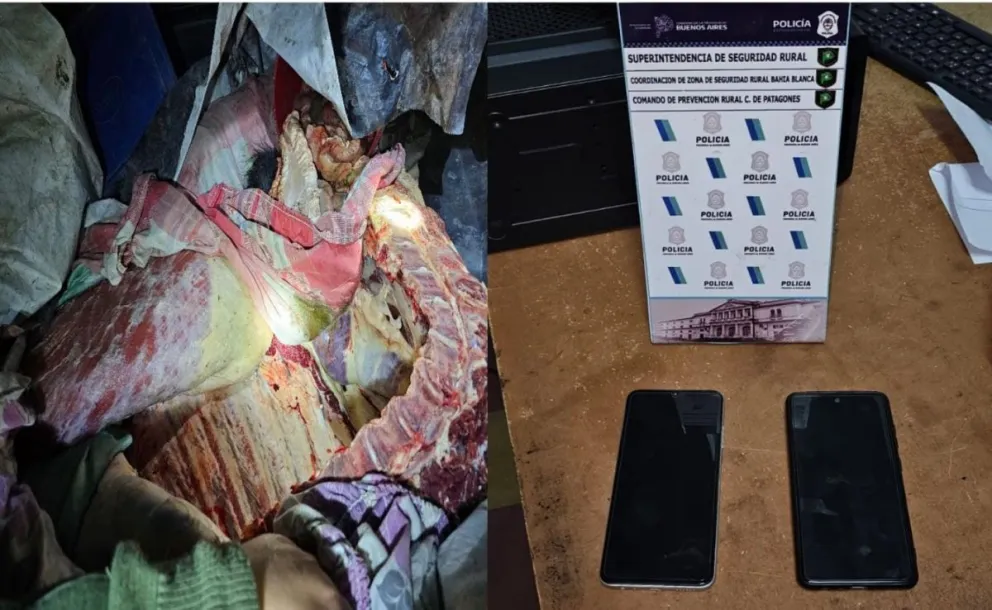 Quisieron vender carne trucha y los interceptaron justo con el novillo en la camioneta