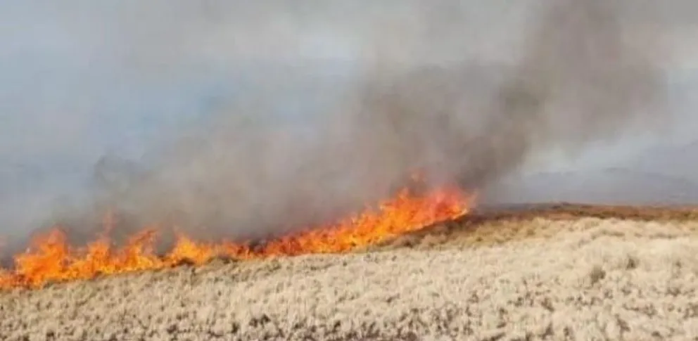 Incendio forestal en Córdoba: fue detenido un joven de 19 años
