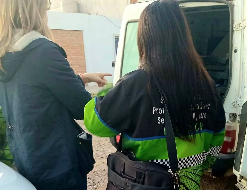 Encuentran irregularidades en controles de transportes de alimentos