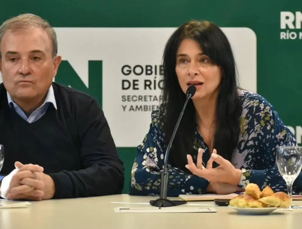 Confini y la planta de GNL: "Esto es refundar a la provincia de Río Negro" 
