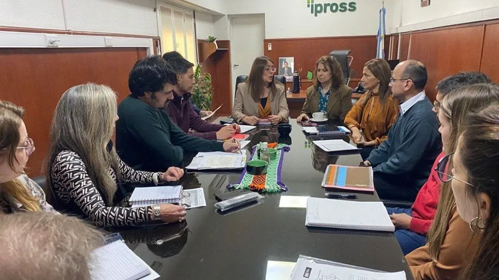 Unificarán compras de prótesis e implantes entre Salud y el IPROSS