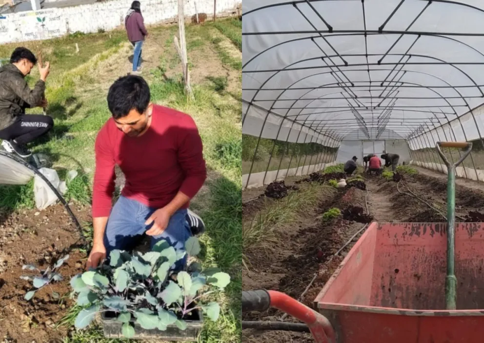 Viedma cuenta con un taller "sustentable" para quienes tienen problemas de consumo