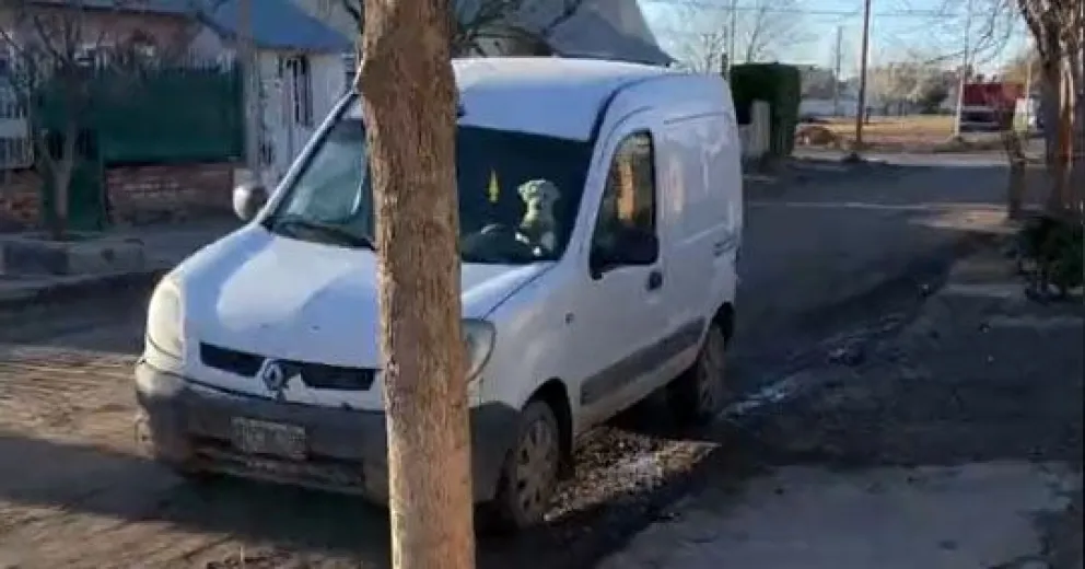Las redes amaron el video de una perrita viedmense