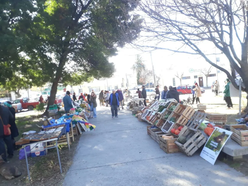 Viedma se prepara para la primera feria de intercambio de semillas, plantines y saberes sobre agroecología
