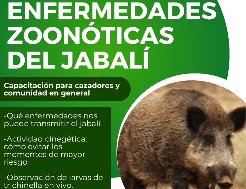 Lanzan capacitación para prevenir enfermedades que transmiten los jabalíes