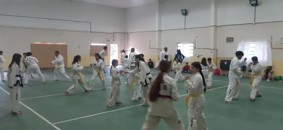 El Taekwondo ITF prepara una capacitación para los deportistas de Viedma, Patagones y San Javier.