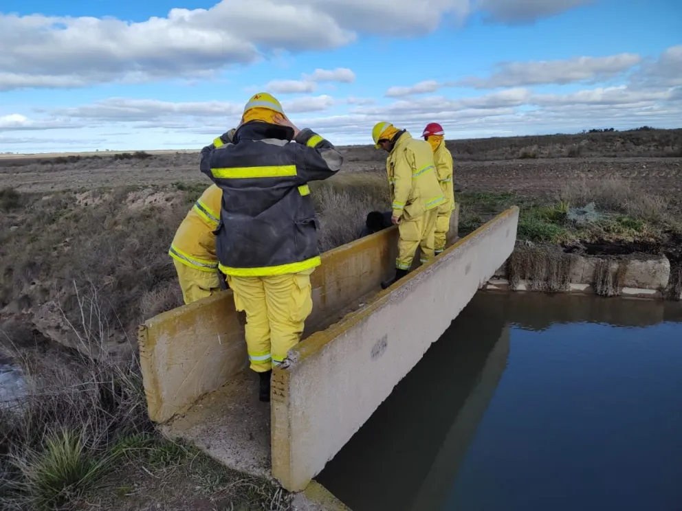 Contrataron un abogado particular para profundizar las investigaciones.
