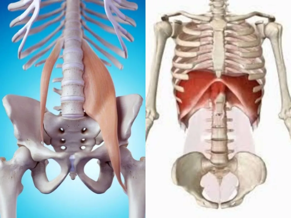 El trabajo destacó la importancia de un enfoque integrado. 