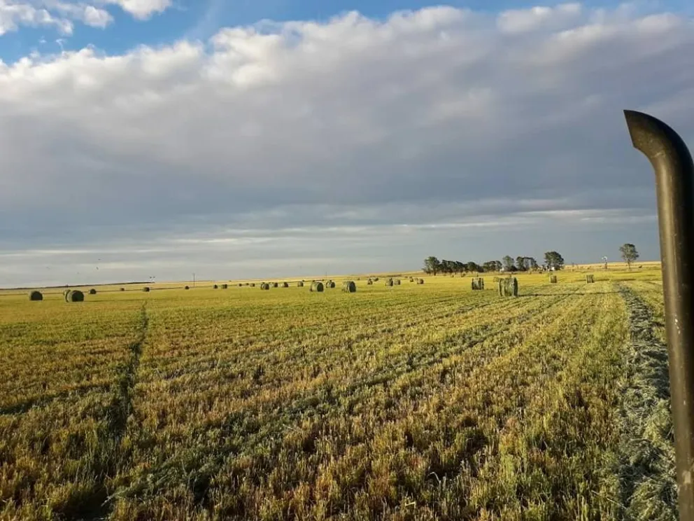 La Universidad Austral presentó un informe sobre la problemática (Imagen: archivo)