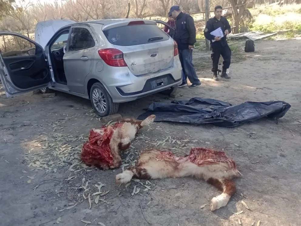 El Ford Ka que la policía encontró abandonado en la zona de chacras y tenía pedido de secuestro por robo.