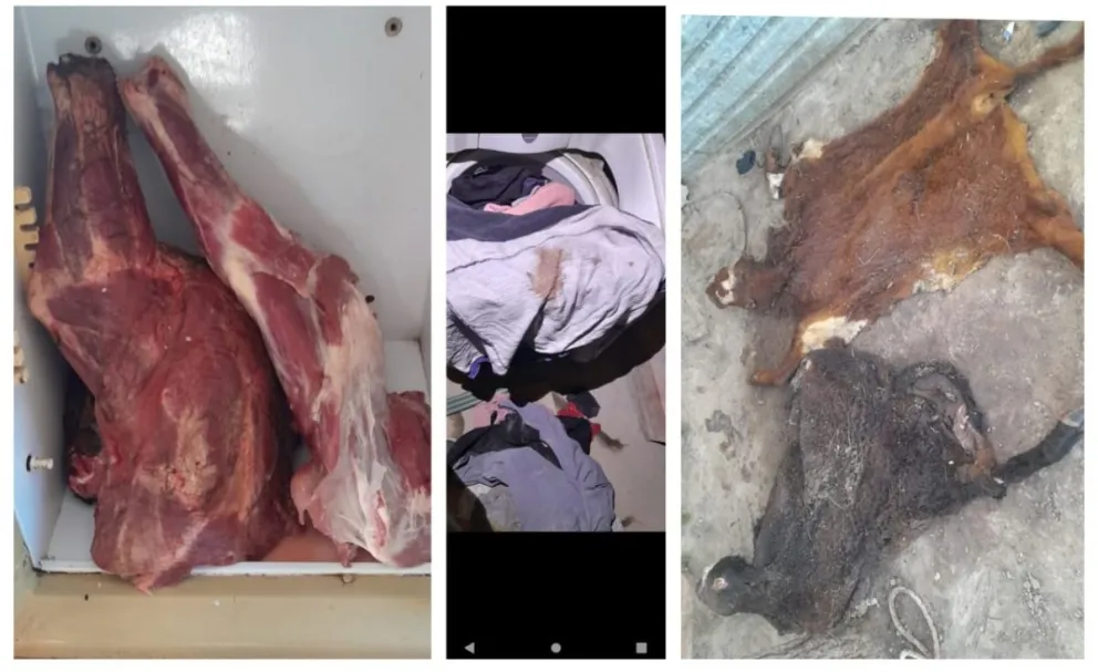 Se trataba de un "carnicero" encubierto por los utensilios encontrados.