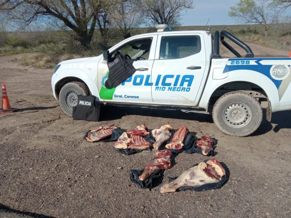 Descubrieron el cargamento en una Ford Ranger.