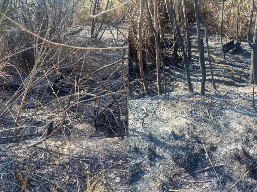 Por el momento, no hay precisiones sobre el origen del fuego.