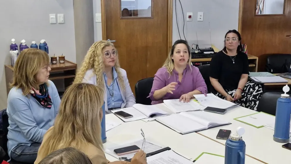 El nuevo consejo busca el cumplimiento de la ley provincial 5124.