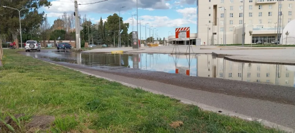 Una inesperada problemática captó la atención de transeúntes y residentes.