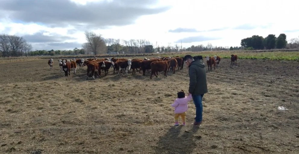 Se suman nuevas herramientas en la lucha contra el robo de ganado. 
