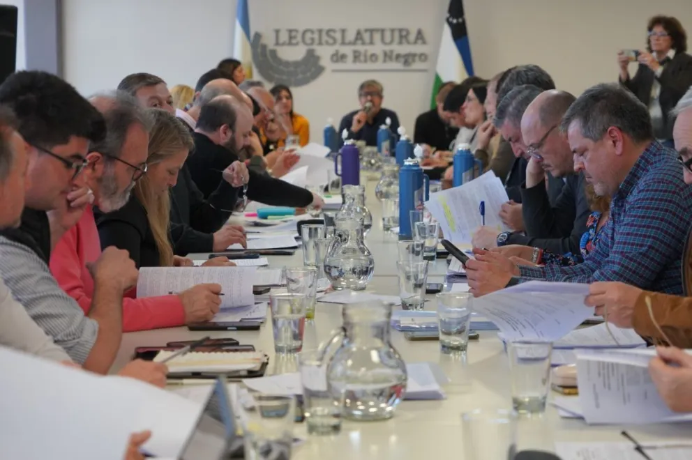 Este proyecto surgió de las discusiones en comisiones parlamentarias.