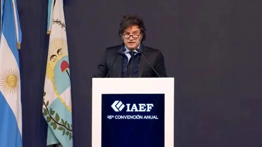 El presidente Javier Milei.