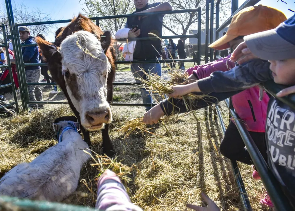 El evento promete ser un gran punto de encuentro para toda la familia.