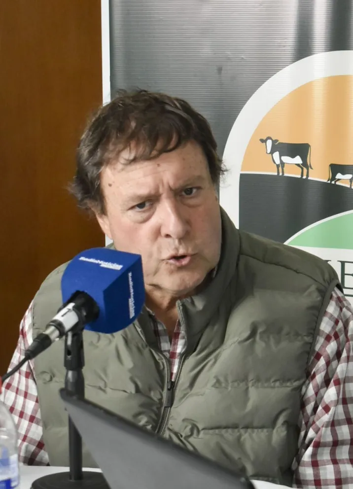 El gobernador de Río Negro, Alberto Weretilneck (Foto: archivo)