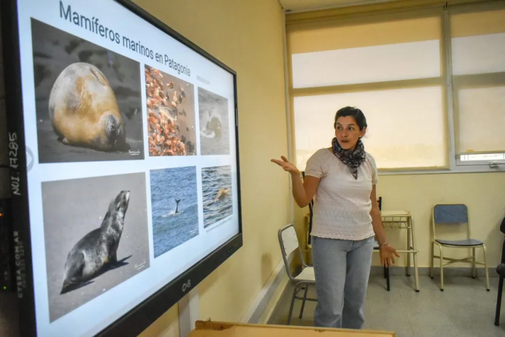 Se abordó un tema crucial para la ecología costera de la Patagonia Norte. Fotos: Vanesa Schwemmler, para Noticias Net.