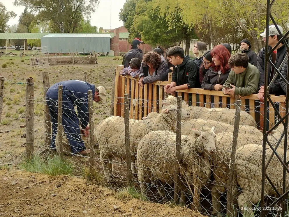  La matrícula de la escuela sigue en crecimiento, con más de 400 alumnos, en su mayoría provenientes de zonas rurales.