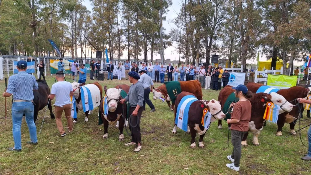 Siempre participan productores de secano y de valles irrigados.