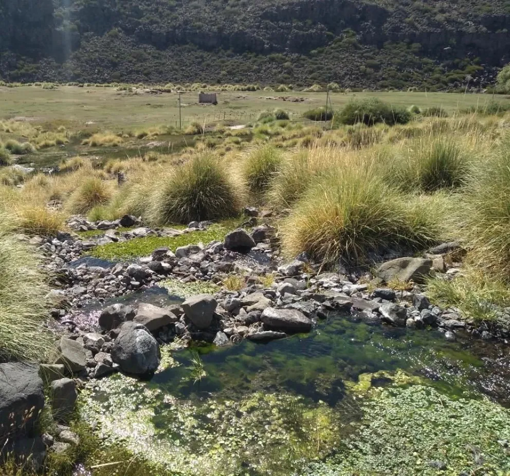 El programa incluye la participación de las comunidades locales y un sistema de control clave para la costa atlántica.
