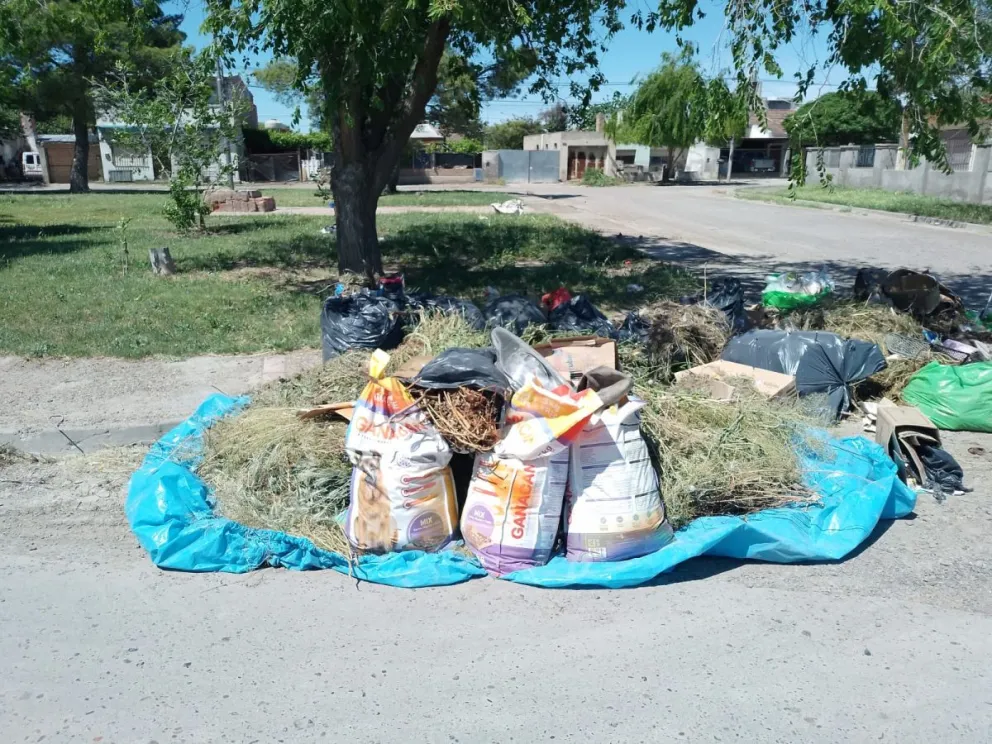 El calor registrado en la tarde de este miércoles y la basura sumaron malestar entre los vecinos. 
