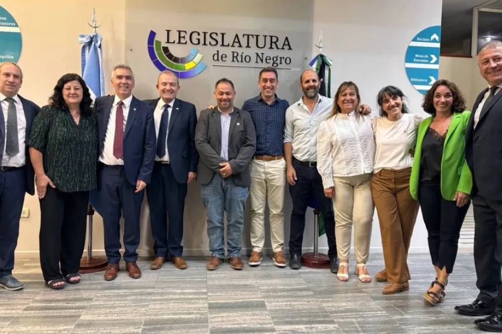 La iniciativa fue aprobada en primera instancia en la Legislatura de Río Negro. 
