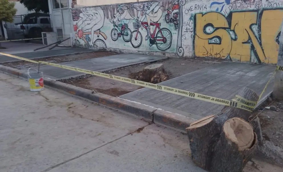 El sector actualmente se encuentra cerrado al tránsito peatonal.