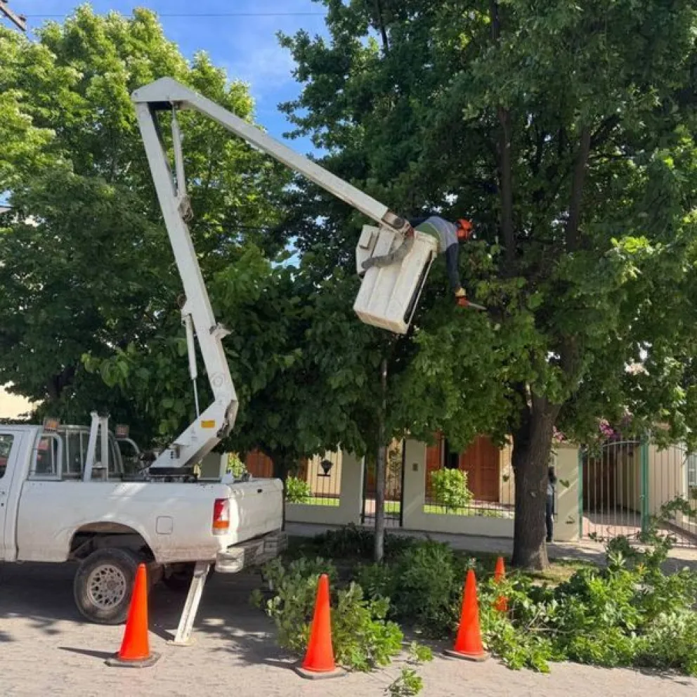 Las inscripciones están abiertas en la página de la Defensoría del Pueblo.